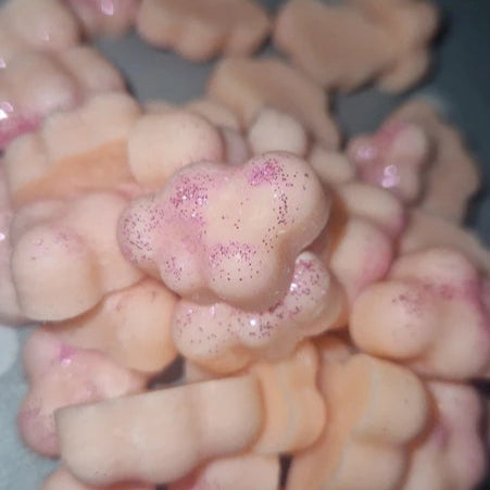 Thank You Next Ariana Grande Perfume Mini Cloud Melts