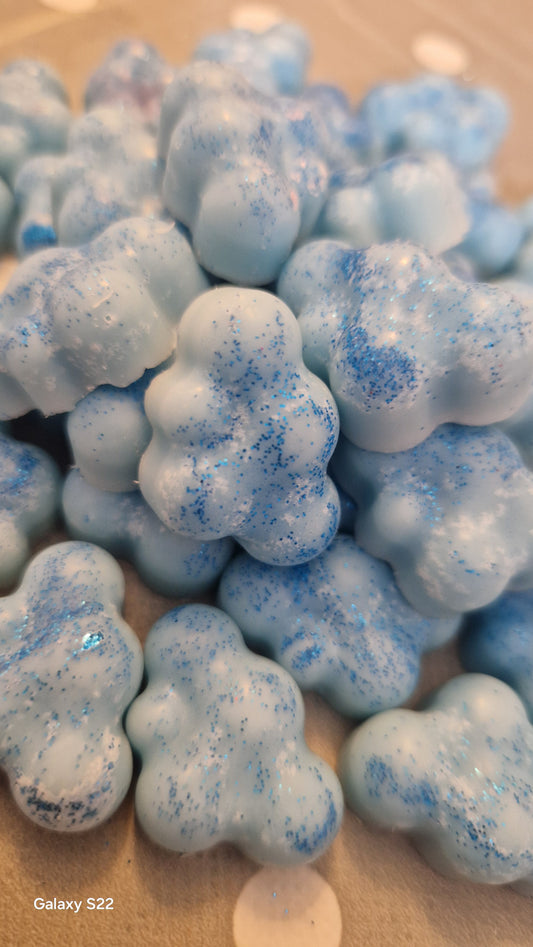 Lenny Enchanted Wildflowers Mini Cloud Melts